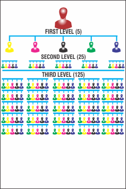 Generation Plan MLM software diagram